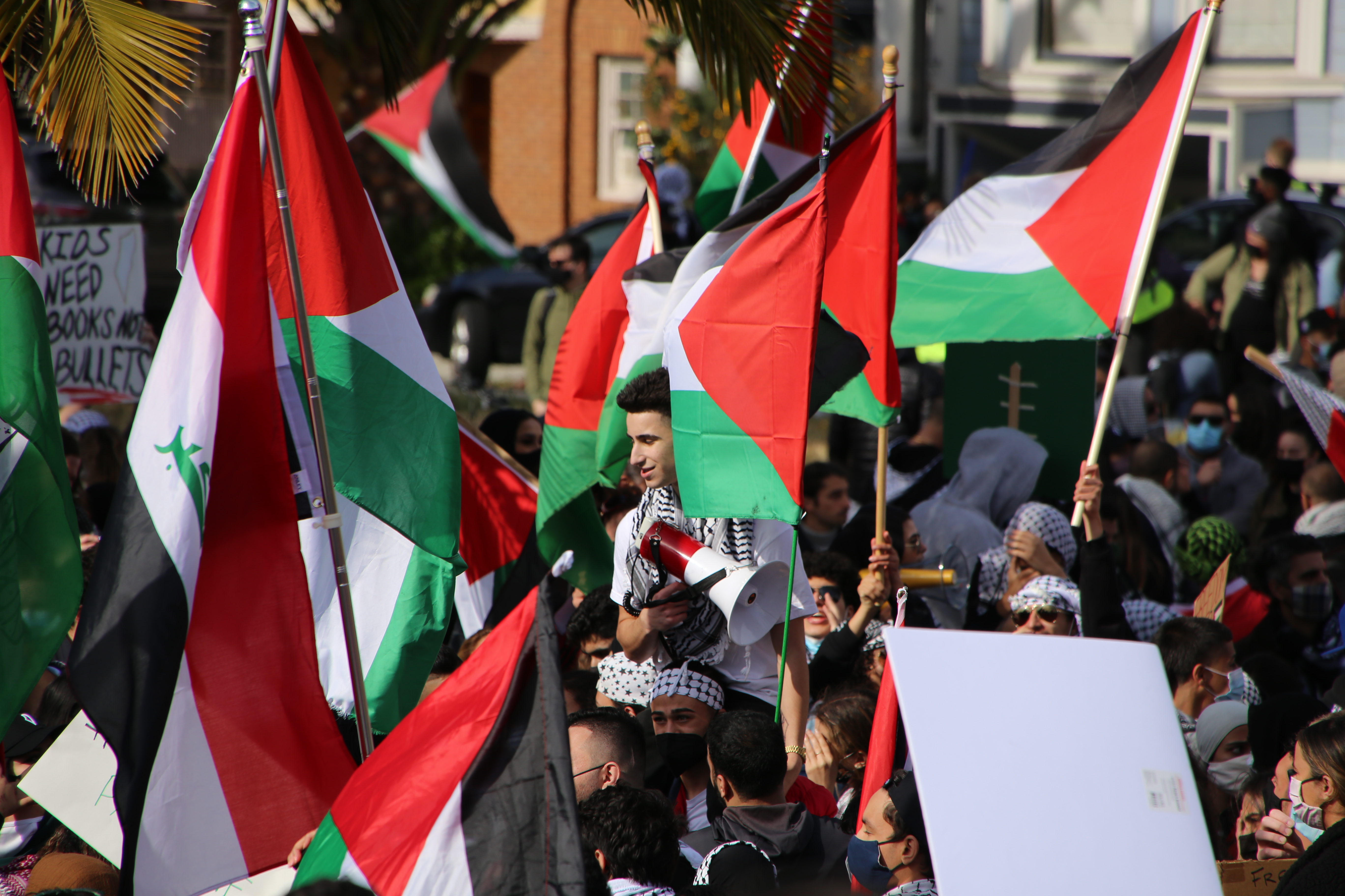 Есть страна палестина. Palestine. Государство Палестина день независимости. F15 Палестина. Проекты палестинского государства.