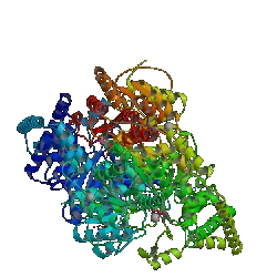 Pyruvate dehydrogenase.png