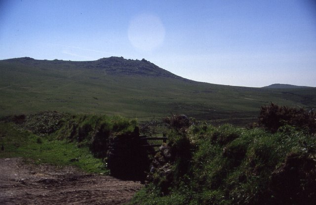 File:Rough Tor - geograph.org.uk - 79652.jpg