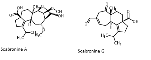 File:Scabronine A and G.png