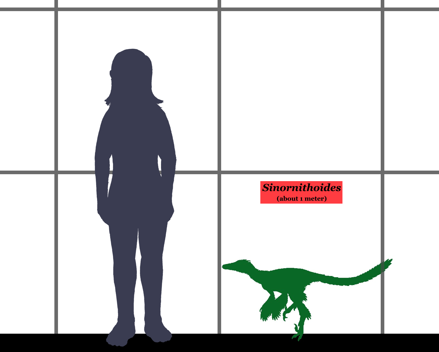 Sinornithoides Size 01.png