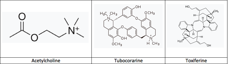 File:Structures of Acetylcholine, Tubocurarine, and Toxiferine.png