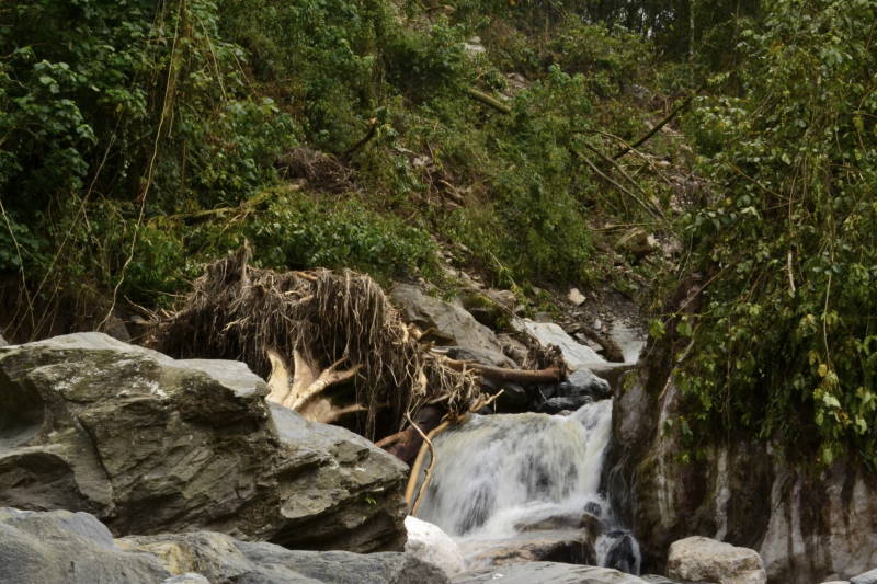 File:UG Rwenzori NP (76) (16643955444).jpg