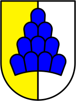 File:Wappen Salenstein.png