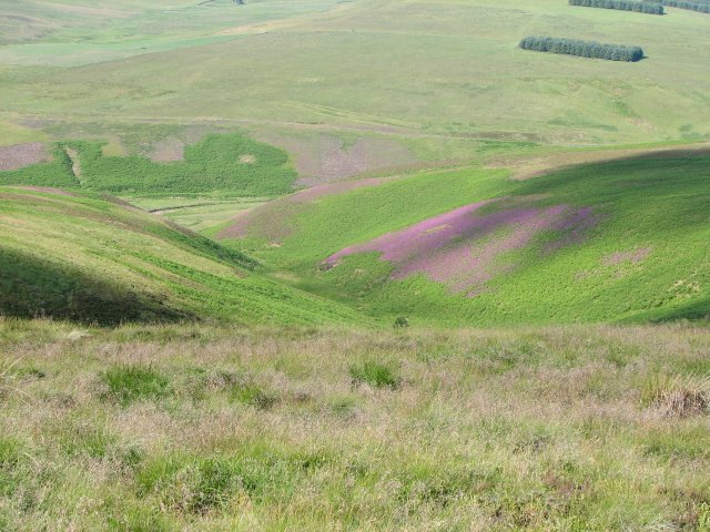 File:Watch Cleugh - geograph.org.uk - 206523.jpg