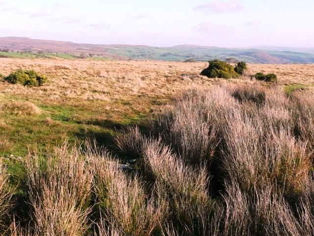 File:Waun Hirwaun - geograph.org.uk - 682039.jpg