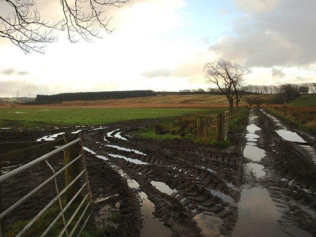 File:Wet and muddy fields near Watsonhead - geograph.org.uk - 1125007.jpg