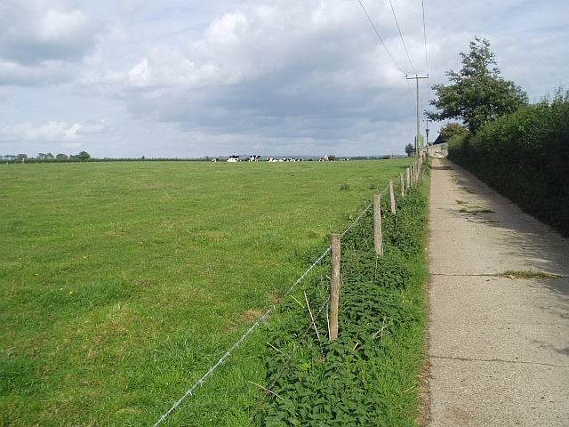 File:White Barn Farm lane - geograph.org.uk - 58440.jpg