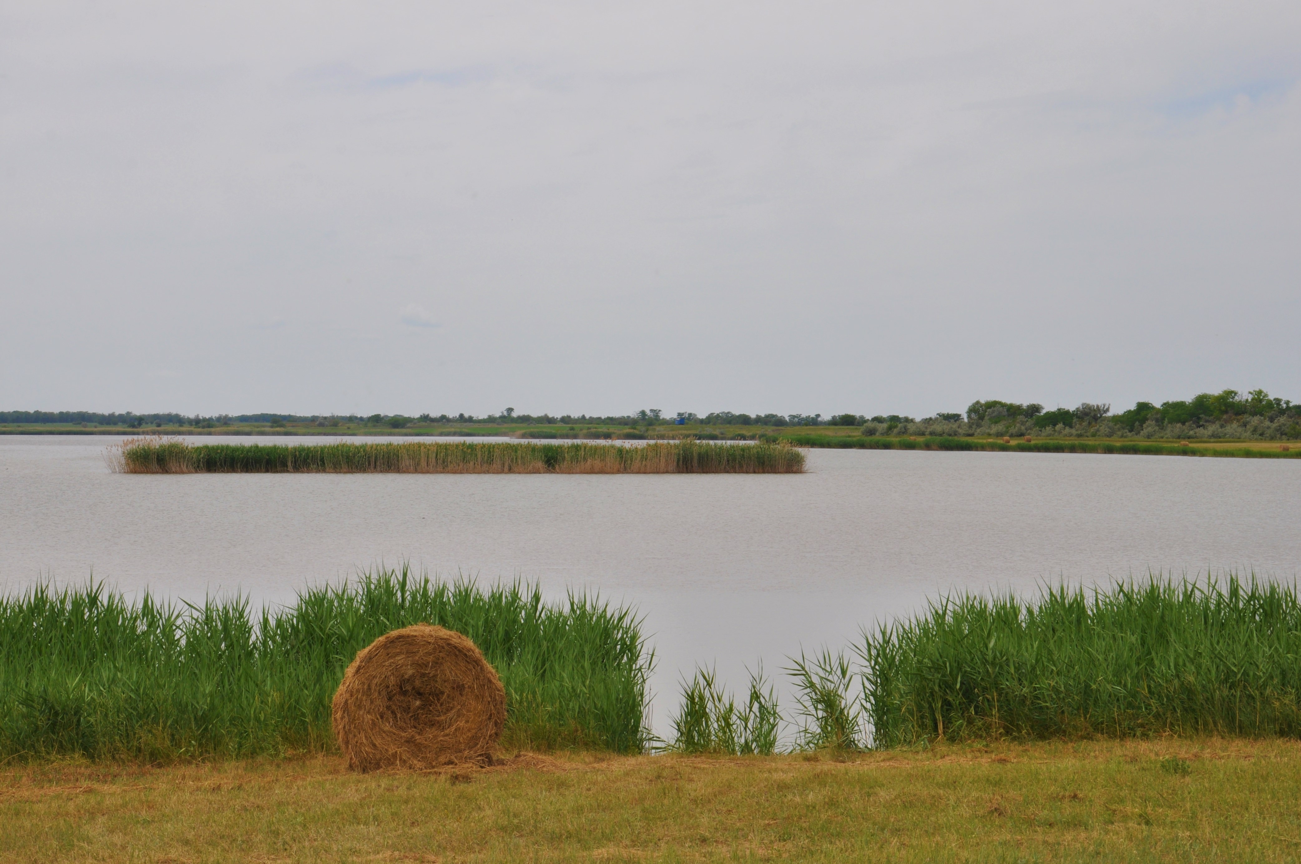 Село Птичье Ставропольский край