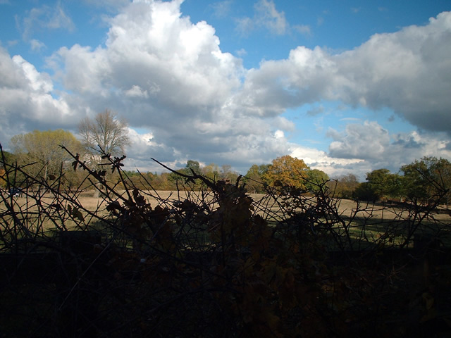 Aldenham Country Park - geograph.org.uk - 64373