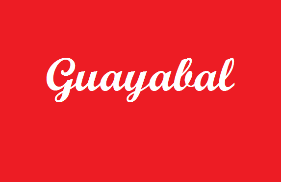 File:Bandera de guayabal.png