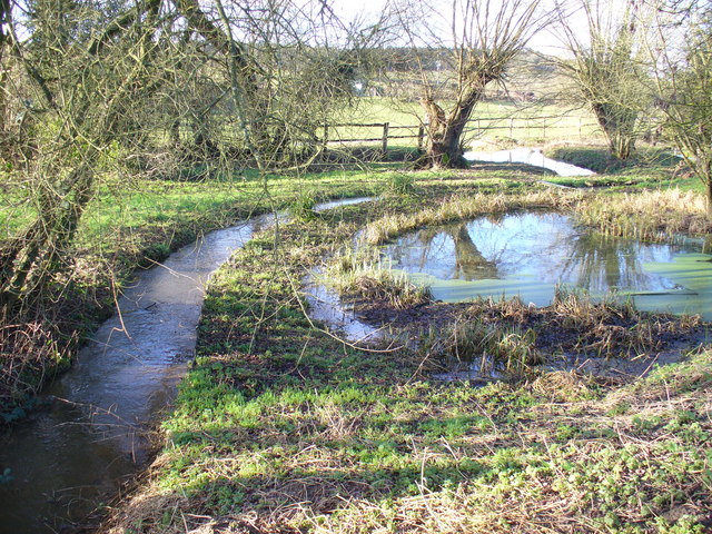 Law Brook, Surrey