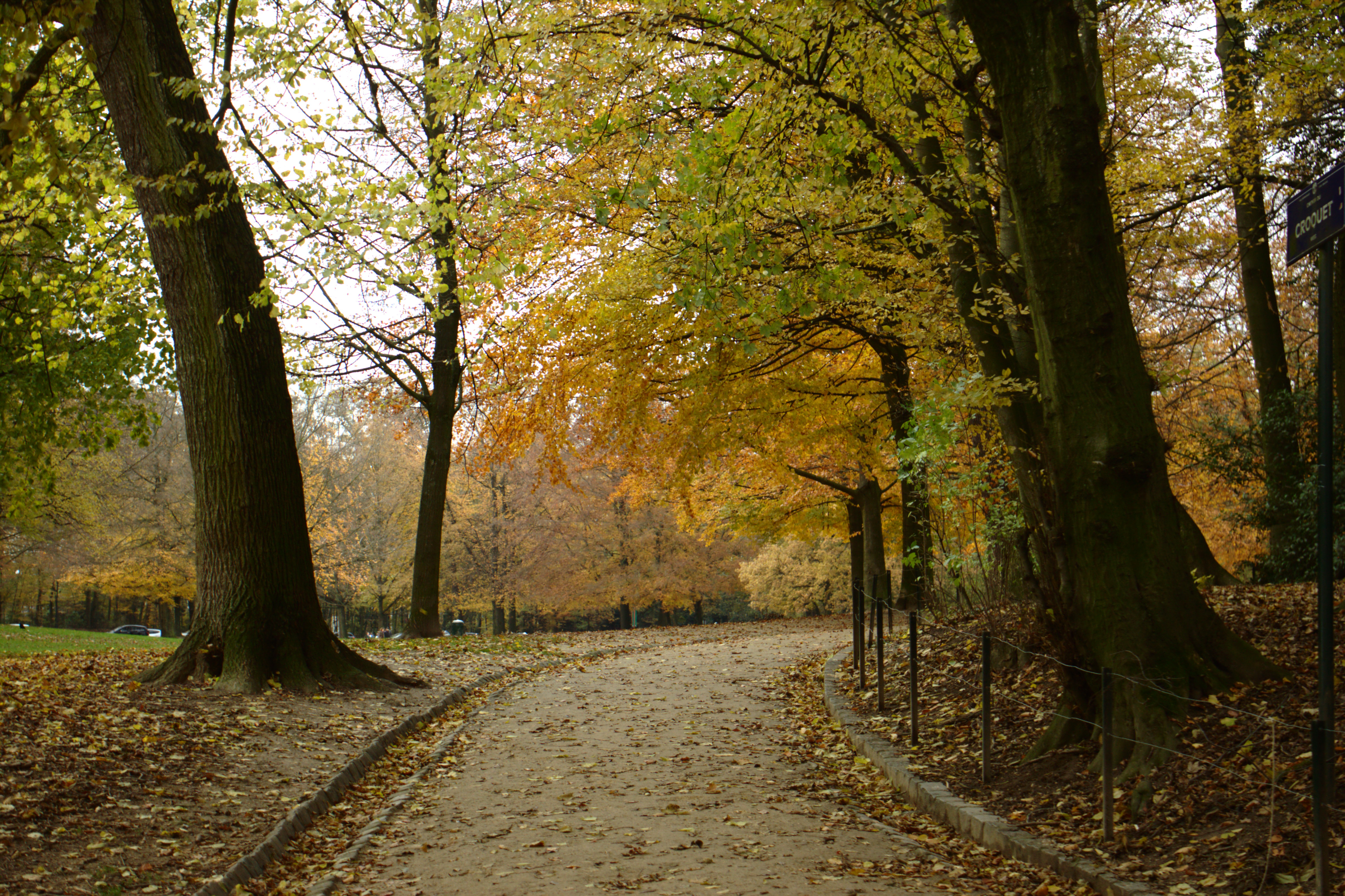 File:Brusel, Bois de la Cambre, cesta II.jpg - Wikimedia ...