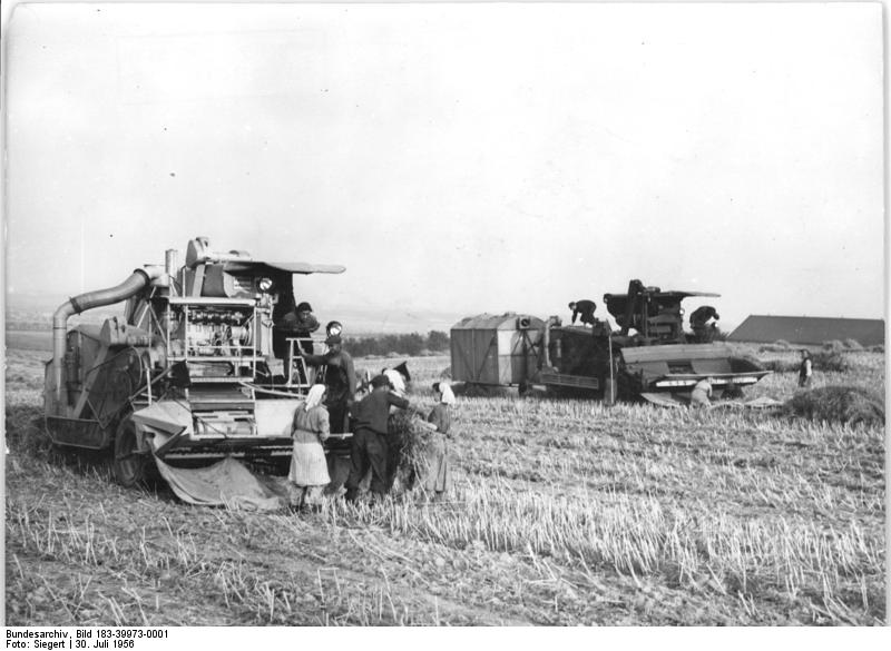 Bundesarchiv_Bild_183-39973-0001,_G%C3%A4vernitz,_Ernte,_Dreschen.jpg