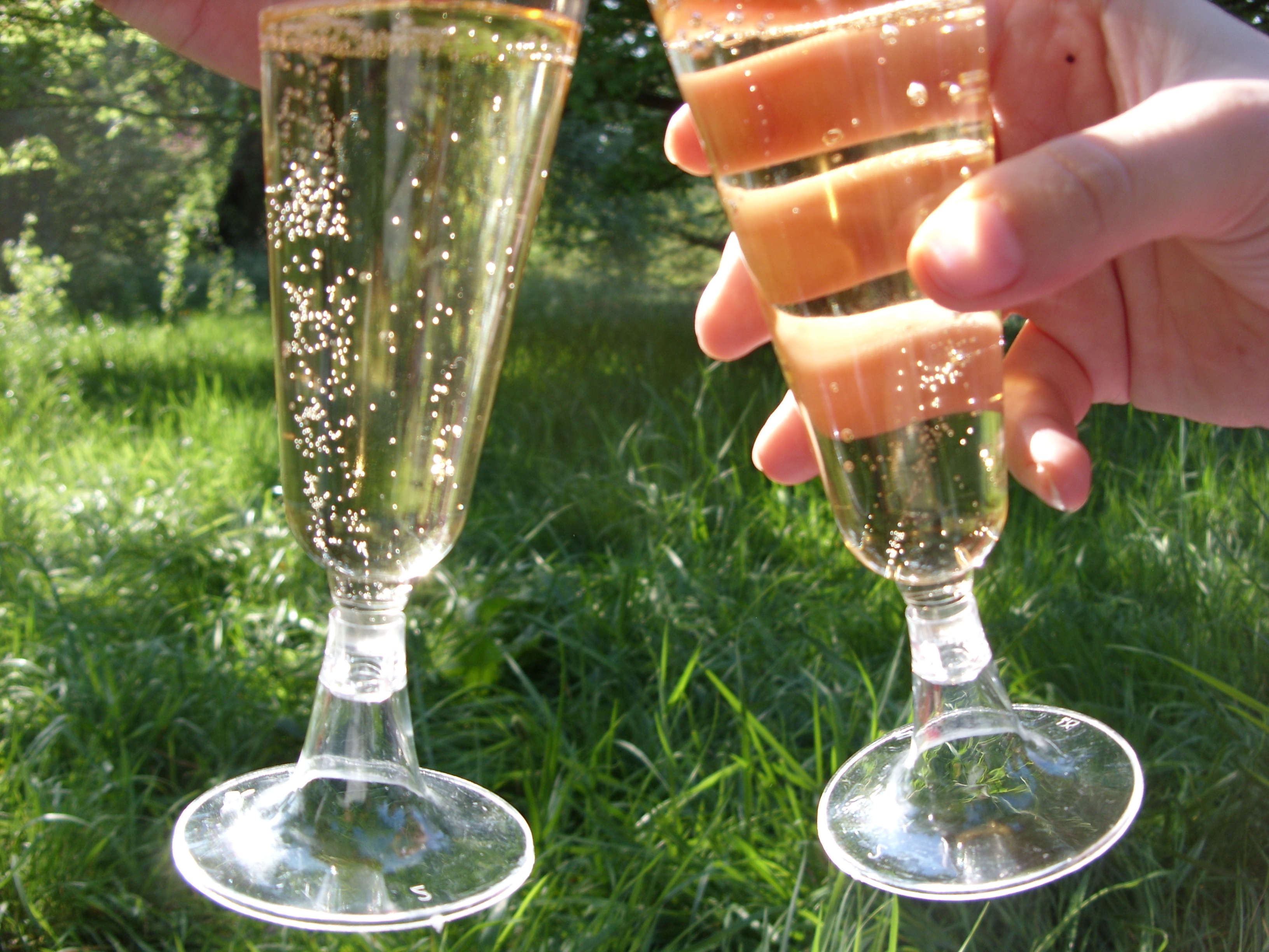 https://upload.wikimedia.org/wikipedia/commons/6/6d/Champagne_glasses.JPG