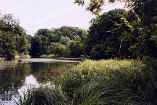 File:Digswell Lake - geograph.org.uk - 272943.jpg