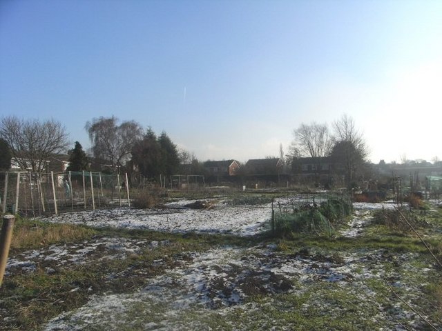 File:Eastwick Allotments - geograph.org.uk - 1111892.jpg