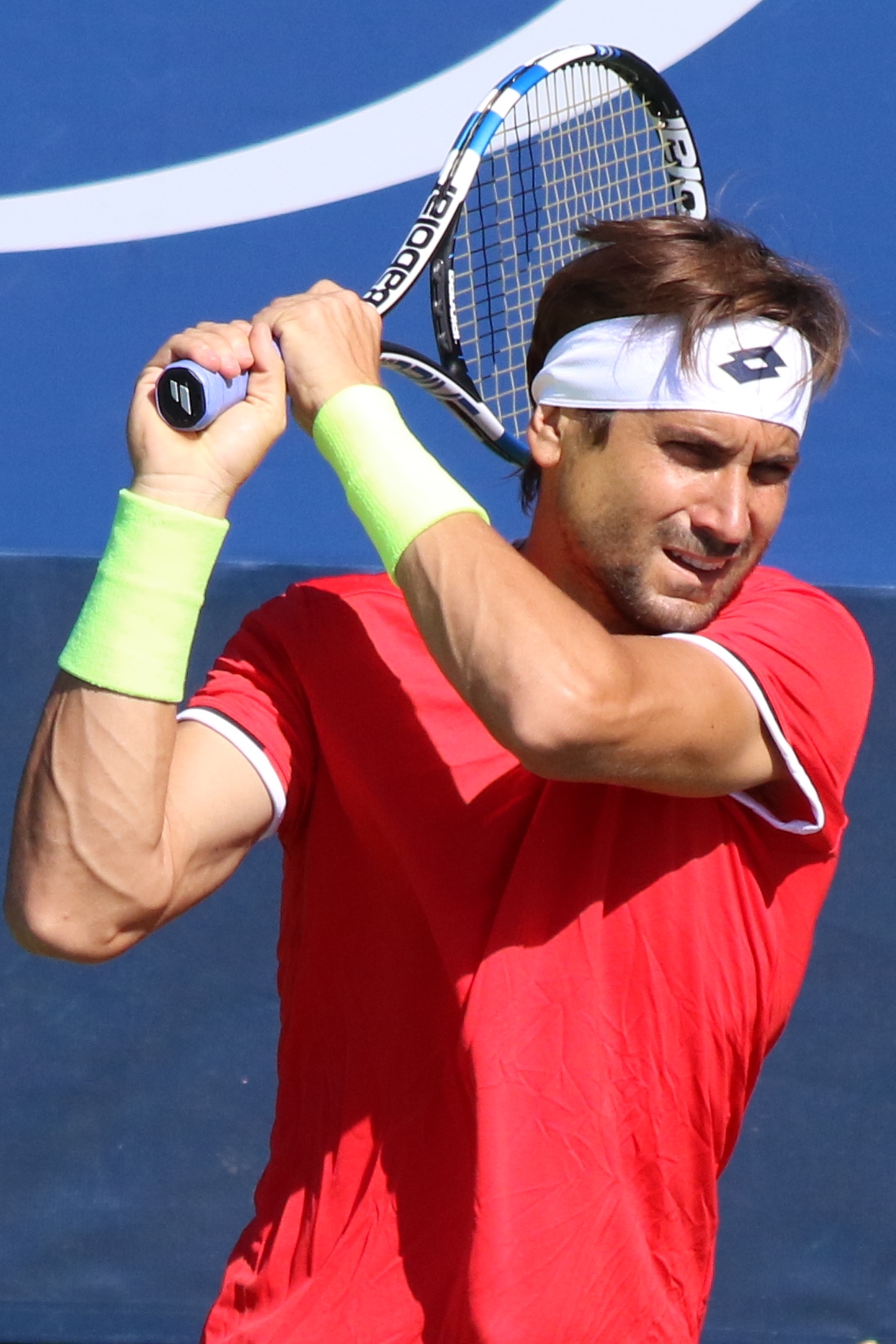 David Ferrer Wikipedia