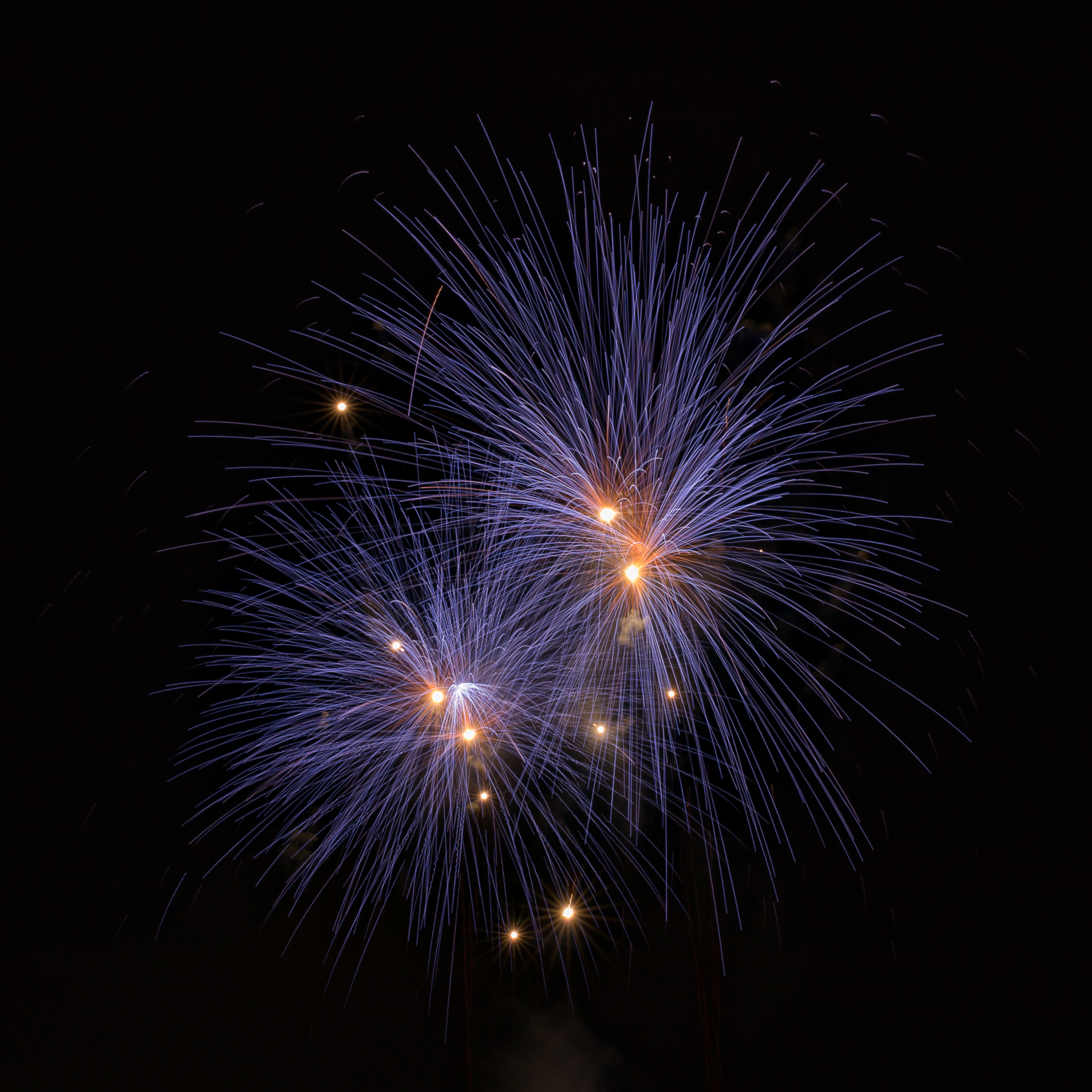 File:Feu d'artifice - 329.jpg - Wikimedia Commons