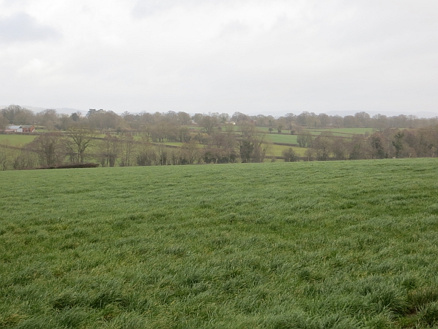 File:Field, Tibhall - geograph.org.uk - 3853939.jpg