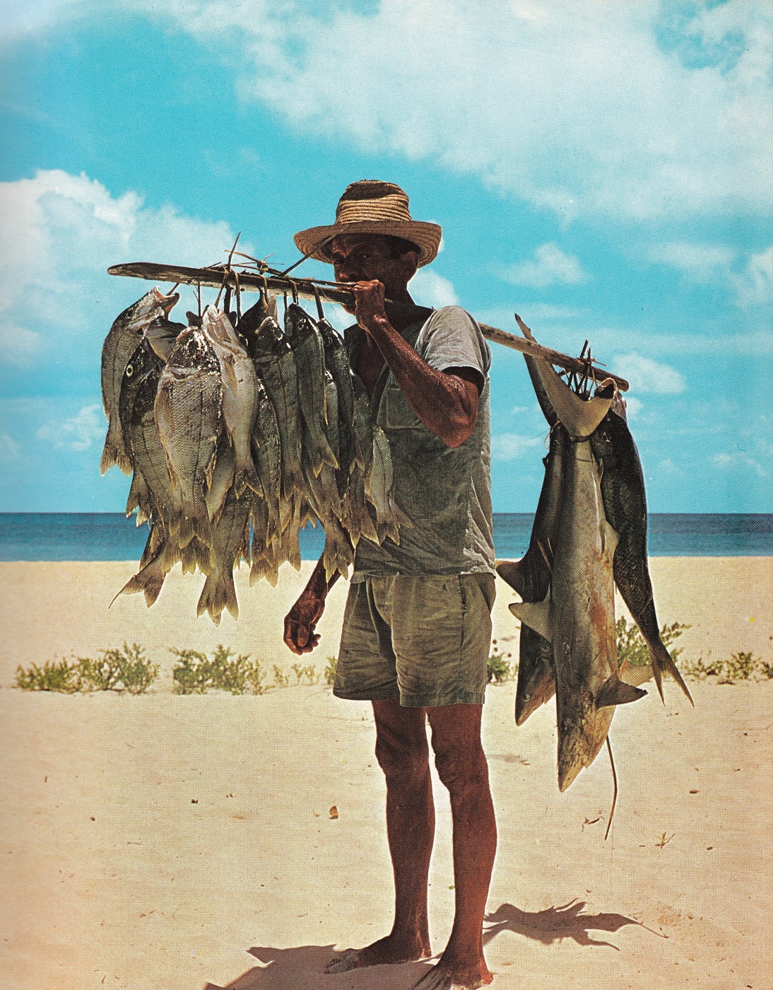 File:Fisherman and his catch Seychelles.jpg - Wikipedia