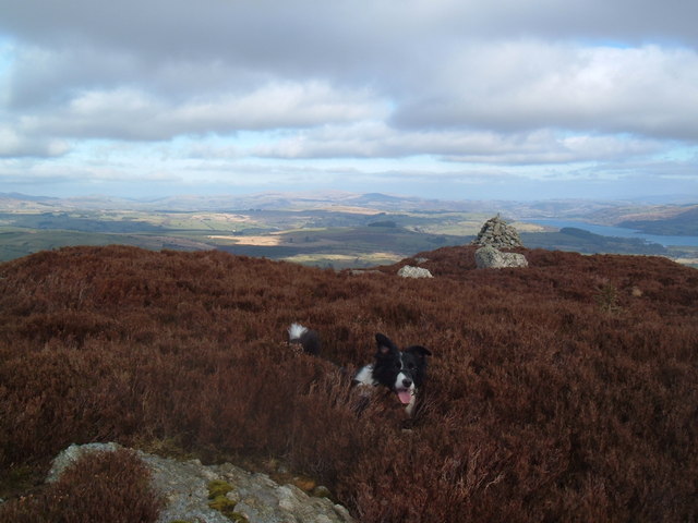 File:Foel y Graig. - geograph.org.uk - 1172609.jpg