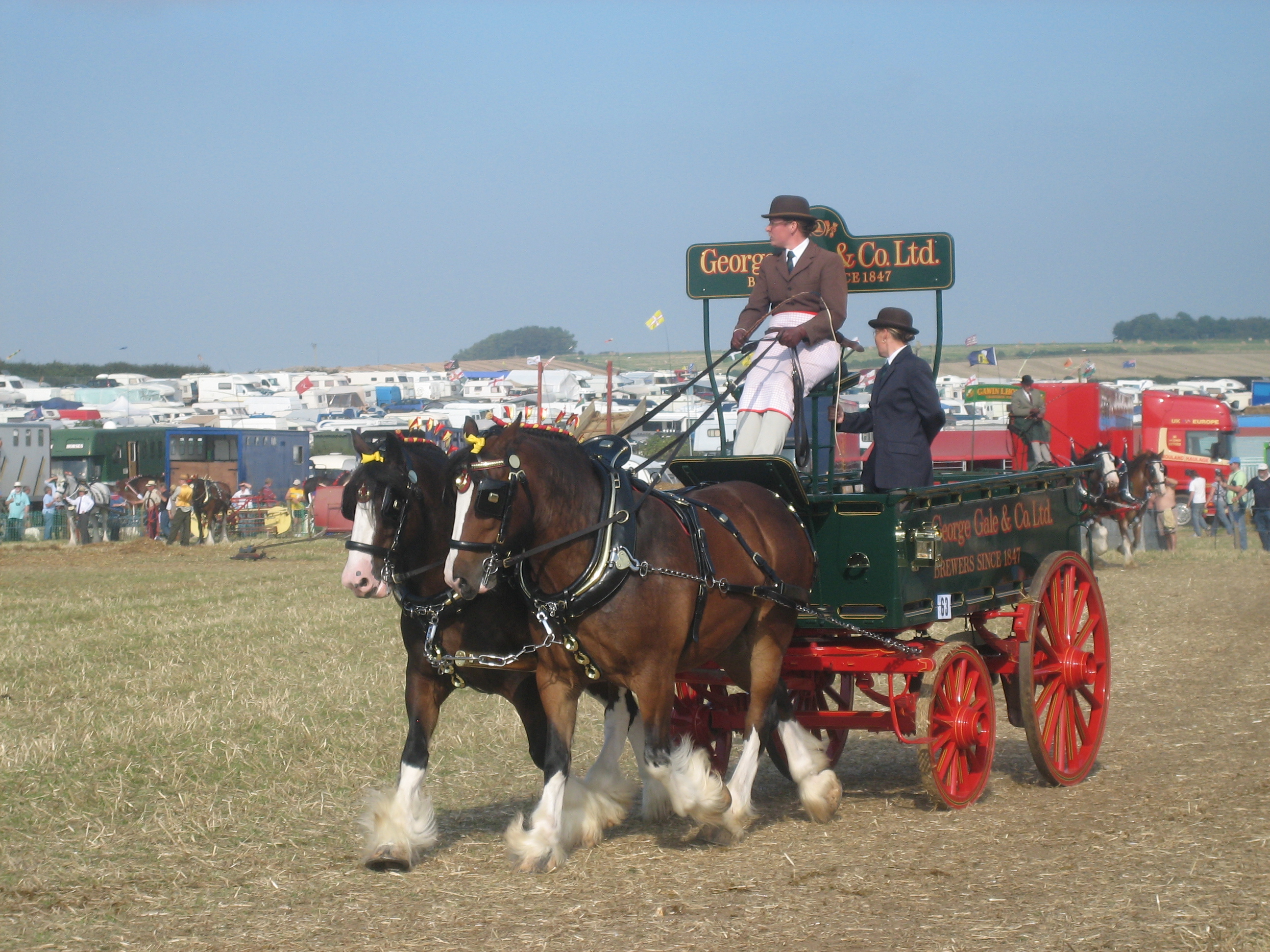 Great steam fair фото 106