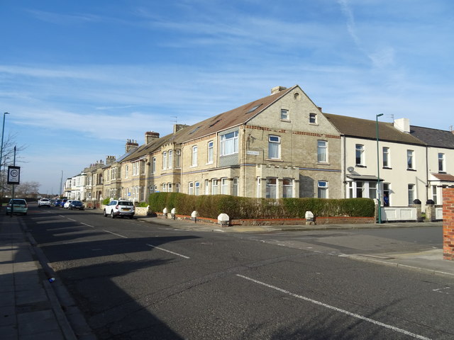 File:Houses on Coatham Road - geograph.org.uk - 6071890.jpg