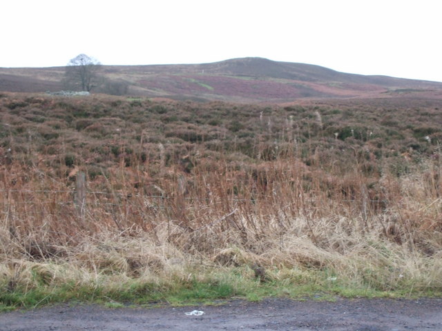 File:Longframlington Moor - geograph.org.uk - 644478.jpg