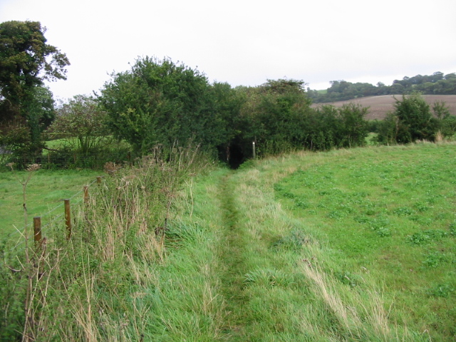 Looking NE towards Elham along Elham Valley Way - geograph.org.uk - 957350