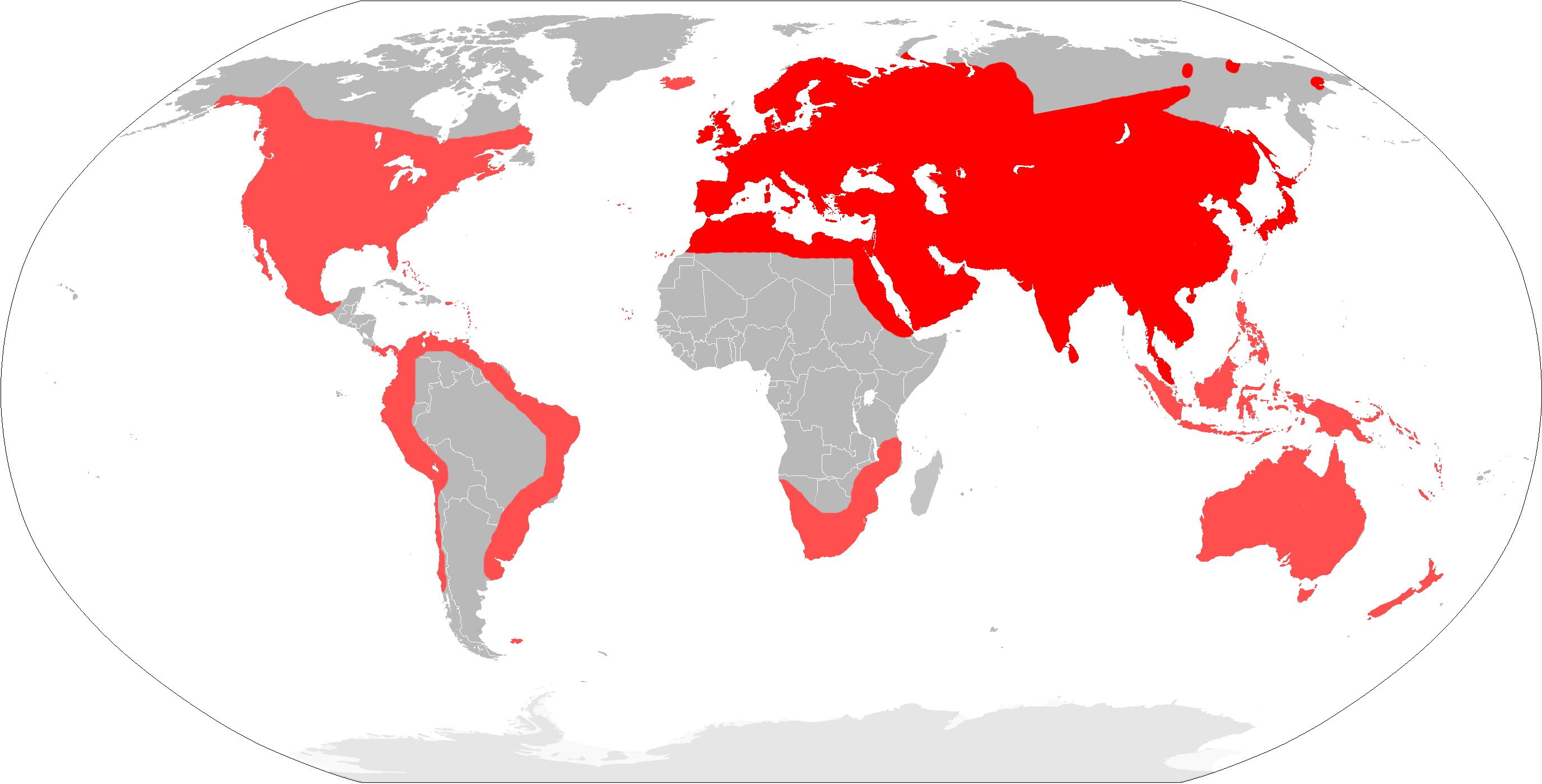 Native range (dark red). Introduced (light red) Attribution: Osado, Public domain, via Wikimedia Commons