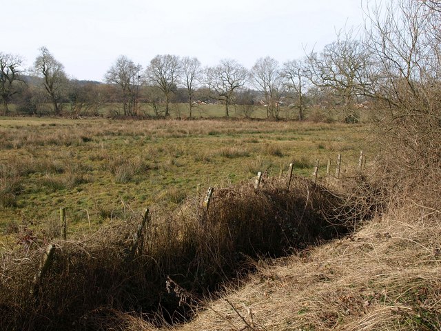 File:Meadow near Chapel Anthony - geograph.org.uk - 1764883.jpg