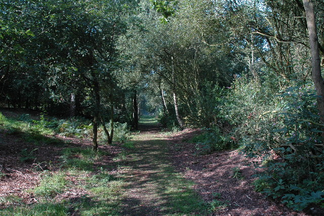 Moore Nature Reserve - geograph.org.uk - 48775