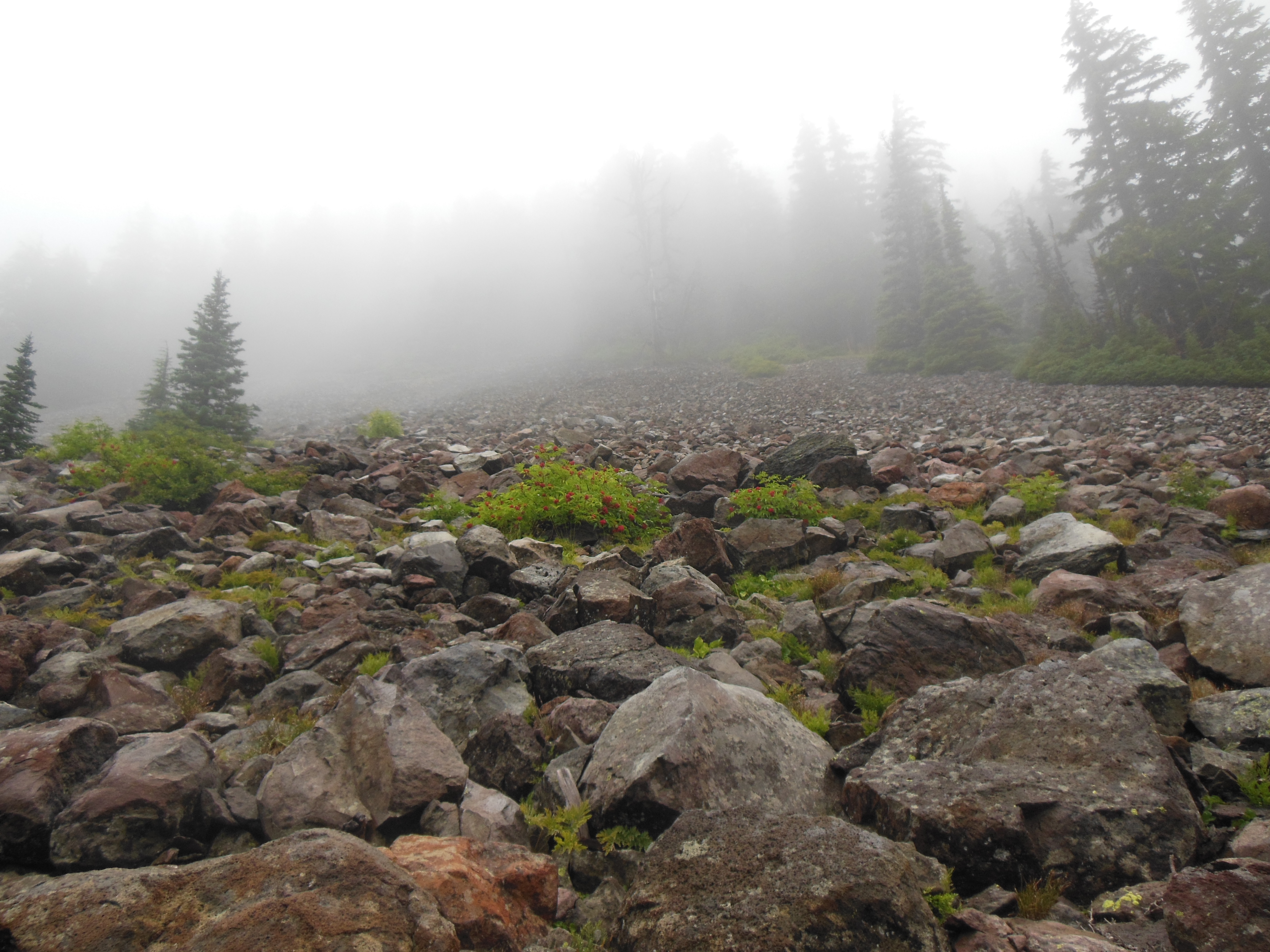 Edge Of Steep Slope On Rocky Hillside In Foggy Weather. Dramatic Scenery In  Mountains Stock Photo, Picture and Royalty Free Image. Image 81557891.