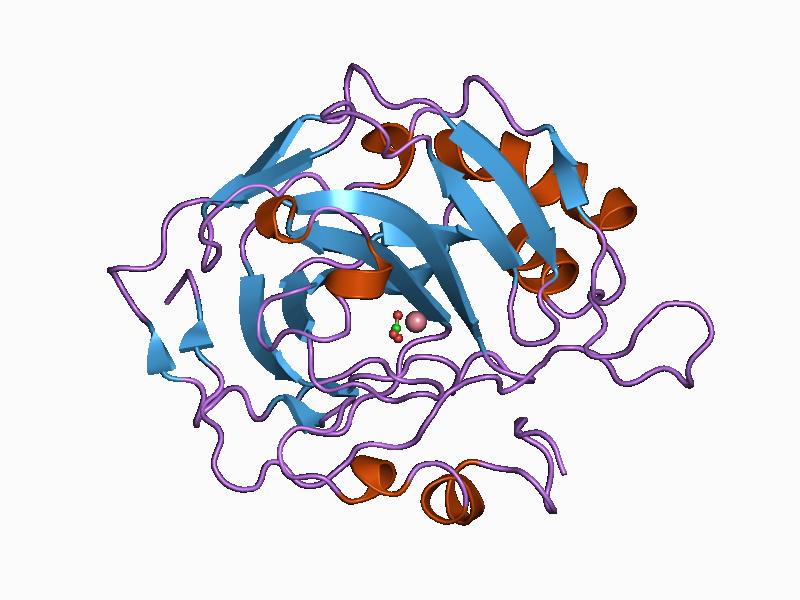 File:PDB 1cah EBI.jpg