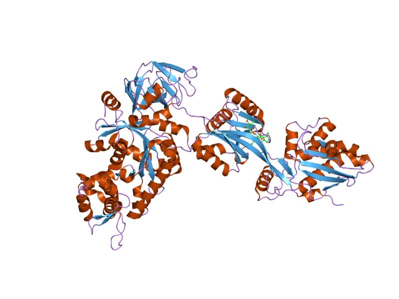 File:PDB 1n0u EBI.jpg