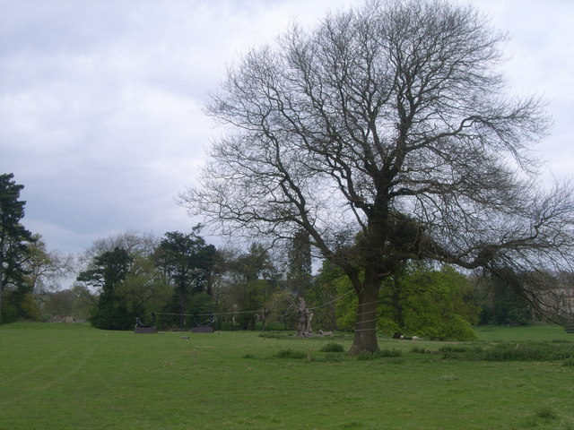 File:Piercefield Park - looking towards Piercefield House - geograph.org.uk - 888069.jpg