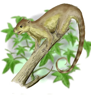 File:Ptilodus Restoration.jpg