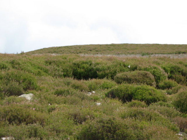 File:Round Hill - geograph.org.uk - 512485.jpg