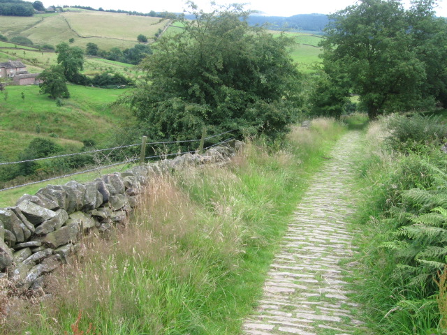 Saddlers Way footpath from Tegg's Nose Country Park - geograph.org.uk - 1413822