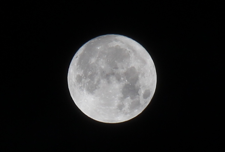 File:Super moon on November 14, 2016.jpg