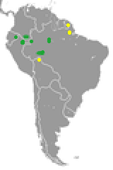 Distribución de Tapirus kabomani