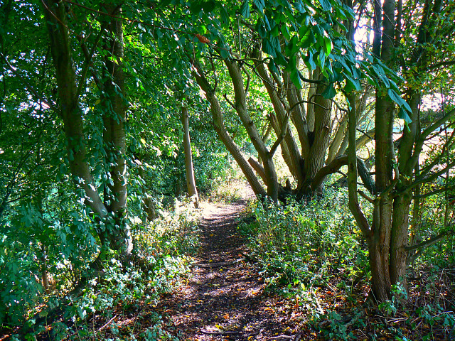 Trackbed, Swindon and Highworth Light Railway, Stanton Park, Swindon (4) - geograph.org.uk - 1526516