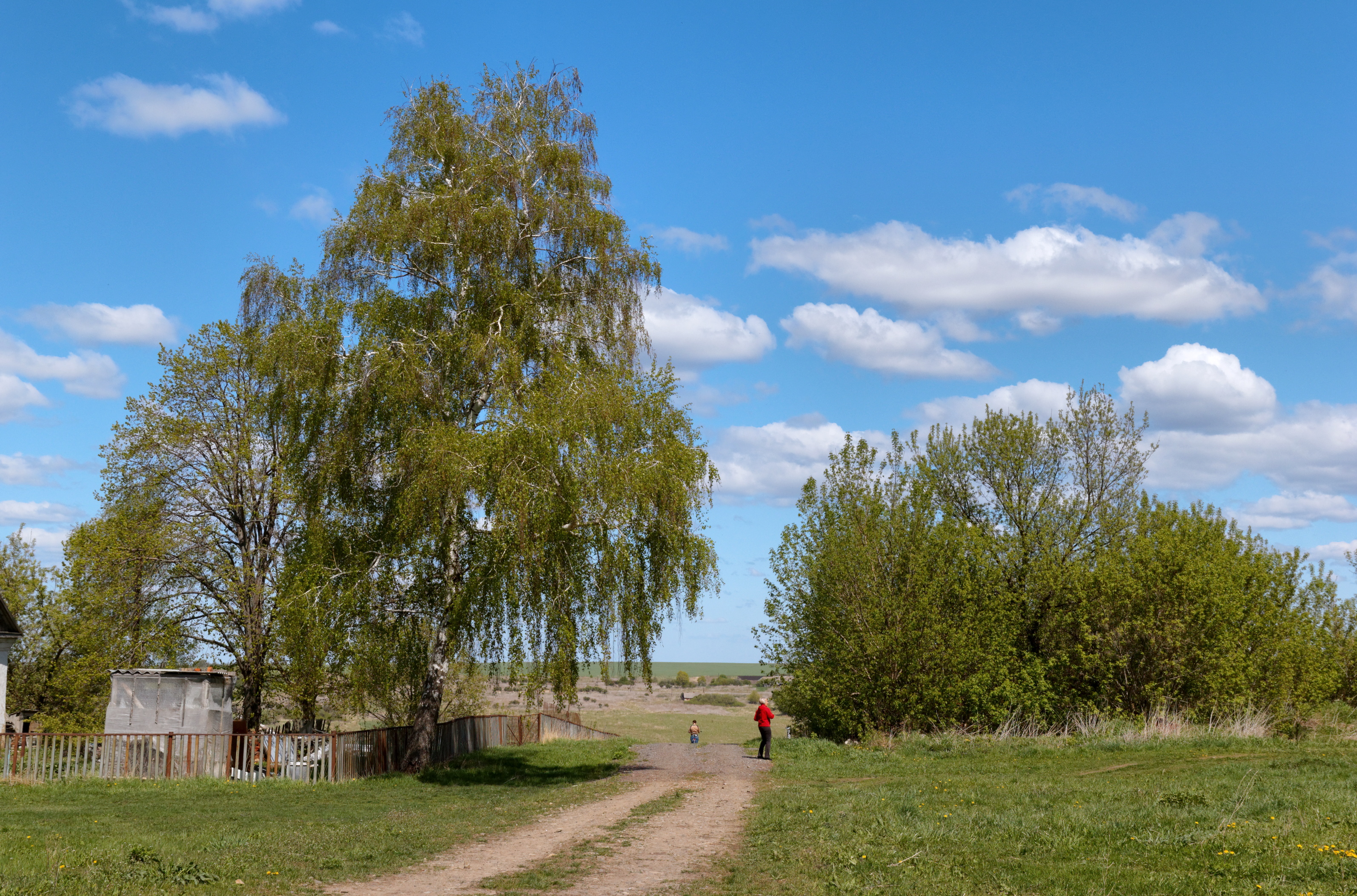 Село дерева. Деревня Белоколодезь Тульская область. Малая берёза. Деревня Белоколодезь Тульская область Новомосковский район. Деревня Новгородское Тульская область.