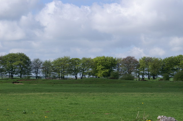 File:Tumuli on the Mendips - geograph.org.uk - 164425.jpg