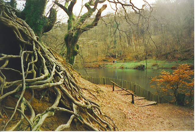 Waggoner's Wells. - geograph.org.uk - 136549