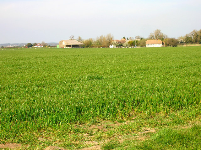 File:Across the Field to Snargate - geograph.org.uk - 394289.jpg