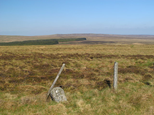 File:Boundary stone on Mohope Moor near Hard Rigg - geograph.org.uk - 2388181.jpg