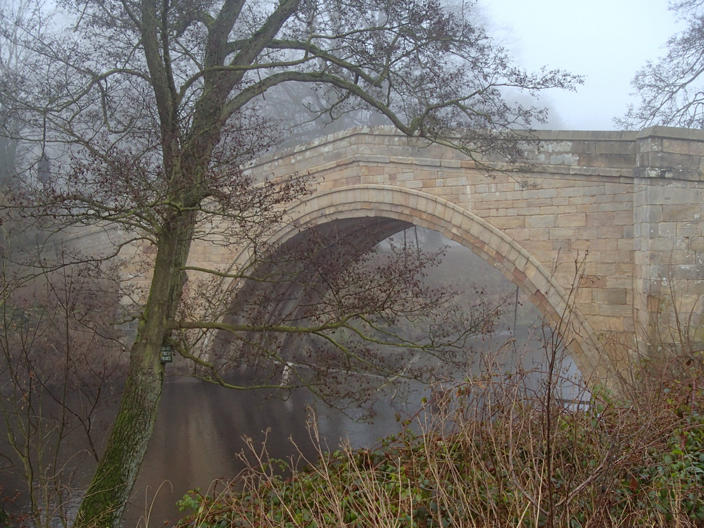 Photo of One Arch Bridge