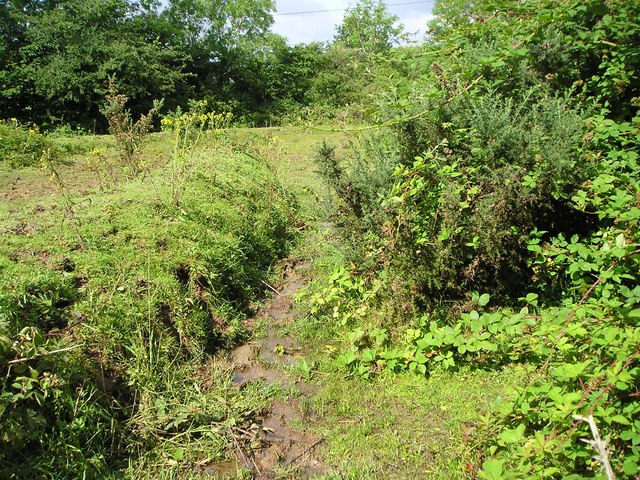 File:Country footpath - geograph.org.uk - 1418249.jpg